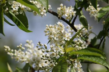 EA347011, Eastpress , Porvoo, Finland